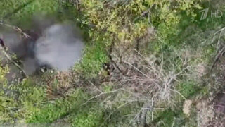 Российские войска освободили Новоалександровку в ДНР и взяли под контроль Корчаковку в Сумской области