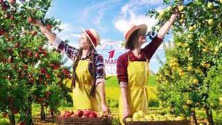 День Труда. 1 мая 2026