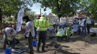 «Сады памяти» появляются в России и за рубежом