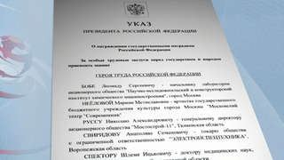 Владимир Путин присвоил актрисе Марине Нееловой звание Героя Труда