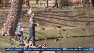 До 25 градусов тепла ожидается на следующей неделе в Москве