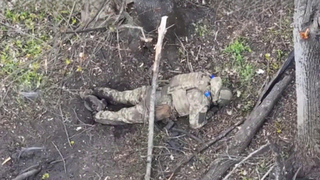 Подразделения группировки войск «Север» взяли под контроль Мирополье в Сумской области