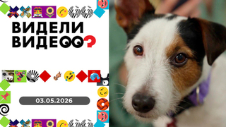 Видели видео? Выпуск от 03.05.2026