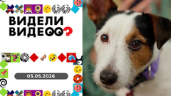 Видели видео? Выпуск от 03.05.2026