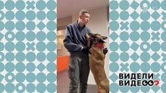 Самый лучший кинолог. Видели видео? Фрагмент
