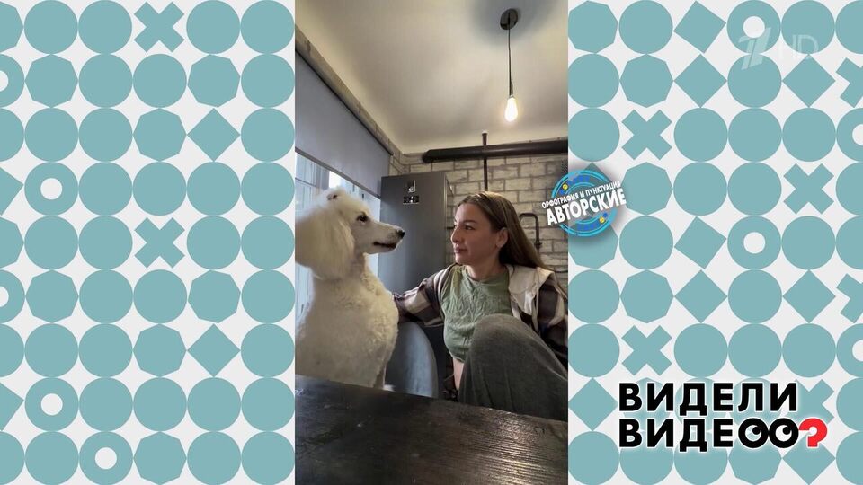 Говорящий пудель. Видели видео? Фрагмент выпуска от 03.05.2026