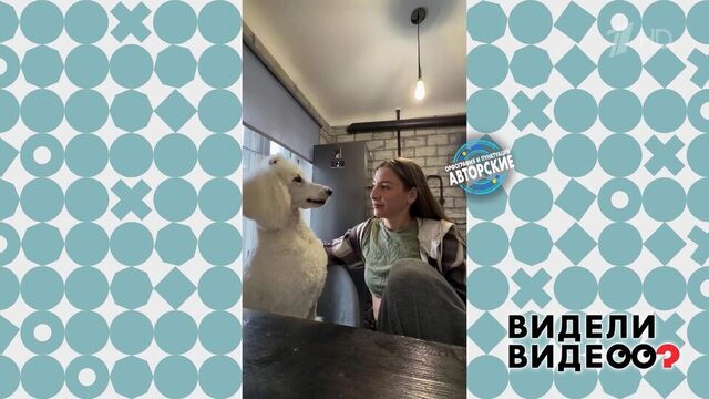 Говорящий пудель. Видели видео? Фрагмент 