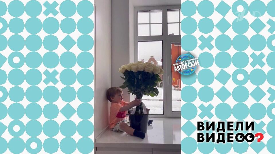 Мальчик и цветы. Видели видео? Фрагмент выпуска от 03.05.2026