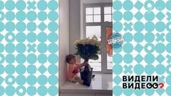 Мальчик и цветы. Видели видео? Фрагмент 