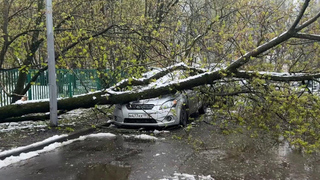 Автомобилисты подсчитывают ущерб от последствий апрельского снегопада