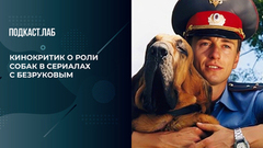 «Сценаристы знают его слабость и всегда вписывают собаку». Кинокритик Денис Горелов – о ролях Сергея Безрукова. Гори огнем. Фрагмент