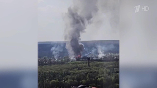 Российские военные освободили Кривую Луку в ДНР и Мирополье в Сумской области