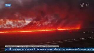 Сплошная стена пламени: опубликованы кадры лесного пожара во Флориде