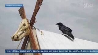 Участница клуба исторической реконструкции объяснила, зачем викинги брали воронов на корабль