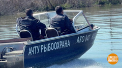 Рыба — на нерест, браконьеры — за рыбой? Доброе утро. Фрагмент