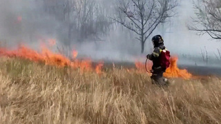 В Хабаровском крае борются с природными пожарами, на Урале — аномальный снегопад
