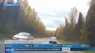 Родился в рубашке: водитель успел затормозить перед падающим деревом в Пермском крае