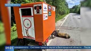 Путешественник Саша Конь погиб под Брянском при атаке БПЛА: кадры с места трагедии