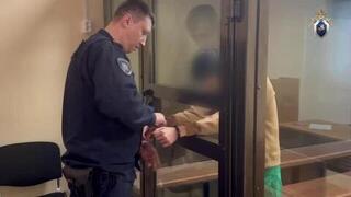 Напавшего с ножом на семилетнюю девочку в Наро-Фоминске взяли под стражу: видео
