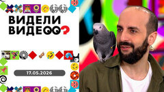 Летающая собака, попугай-любитель колбасы, спасение осла и козла. Видели видео? 