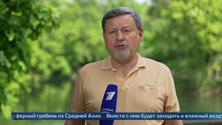 «Возможны локальные грозы» — метеоролог Варакин о погоде на следующей неделе в Москве