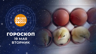 Гороскоп на 19 мая. Доброе утро. Фрагмент 
