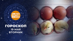 Гороскоп на 19 мая. Доброе утро. Фрагмент 