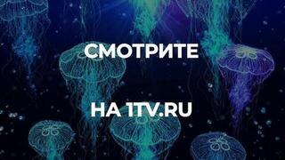 «Сила ароматов. Горы». Документальный фильм