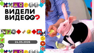 Спасение ворона, собаки на море, голый кролик. Видели видео? Выпуск от 17.05.2026