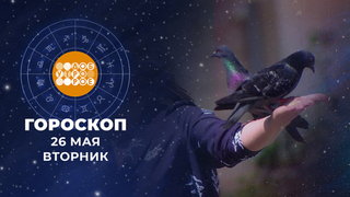 Гороскоп на 26 мая. Доброе утро. Фрагмент 