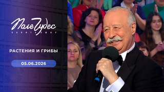 Растения и грибы. Поле чудес