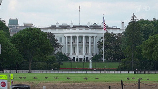 Дональд Трамп отменил запланированные удары по Ирану