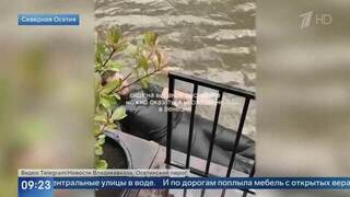 Не пройти, не проехать: проплывшего по улице Владикавказа мужчину сняли на видео