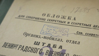 Минобороны РФ представило новый мультимедийный проект о народном ополчении