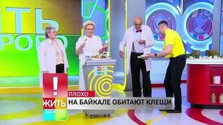 Угроза Байкала: в «Жить здорово!» рассказали о необходимости прививки от клещей перед поездкой