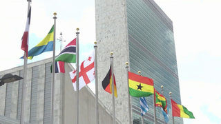 На очередном заседании Совета Безопасности Россию обвиняли в ударе по Киево-Печерской лавре