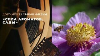 «Сила ароматов. Сады». Документальный фильм