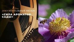 «Сила ароматов. Сады». Документальный фильм