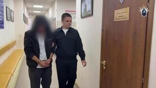 СК сообщил, где взяли наркотики участники смертельной вечеринки в Подмосковье