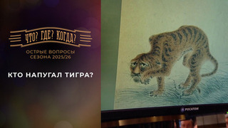 Кто напугал тигра? «Что? Где? Когда?» Фрагмент выпуска от 15.05.2026