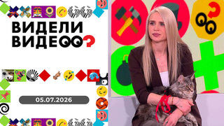 Признание в любви; высокие люди; усатый нянь; провинившийся кот; дерзкое вторжение. Видели видео? 