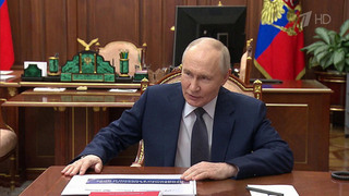 Владимир Путин принял в Кремле директора Российского экспортного центра Веронику Никишину