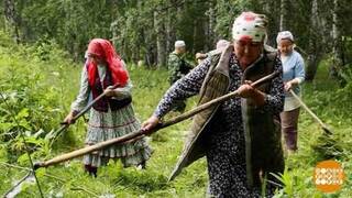 Июль... Самый сенокос! Доброе утро. Фрагмент 