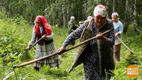 Июль... Самый сенокос! Доброе утро. Фрагмент 