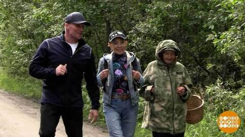 Идем в лес за грибами! И за фитнесом… Доброе утро. Фрагмент