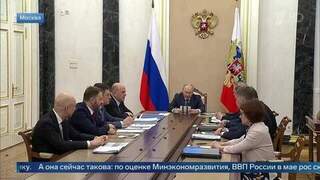 Владимир Путин назвал временными трудности на топливном рынке России