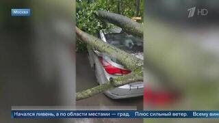 Повалил деревья и повредил машины: ливень с градом накрыл Московский регион