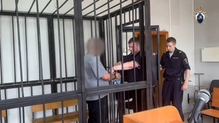 Второго обвиняемого по делу об избиении ученого Зезина заключили под стражу