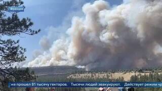 Тысячи жителей штата Вашингтон эвакуировались из-за лесных пожаров
