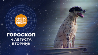 Гороскоп на 4 августа. Доброе утро. Фрагмент